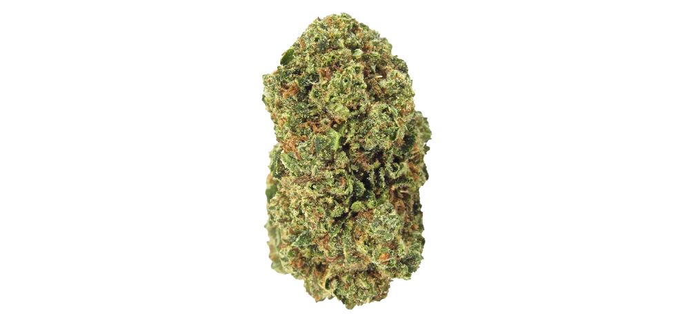 The Fire OG strain comes from mixing the genetics of two legendary parent strains, the original OG Kush and the SFV OG Kush (also known as San Fernando Valley OG Kush).