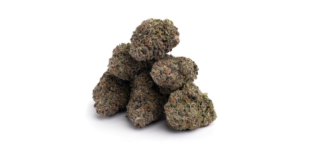 The Wedding Crasher is one of the best indica online weed in Canada. This classic bud was created through a cross between Purple Punch and the infamous Wedding Cake strain.