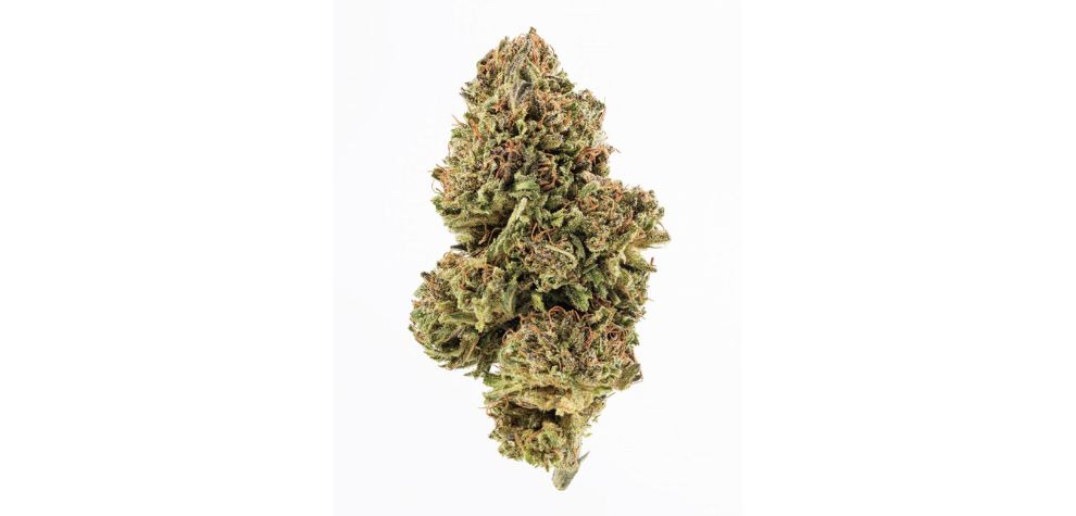 We’re MMJ Express, a renowned online weed dispensary. We help stoners all around the country buy weed online in Canada. 