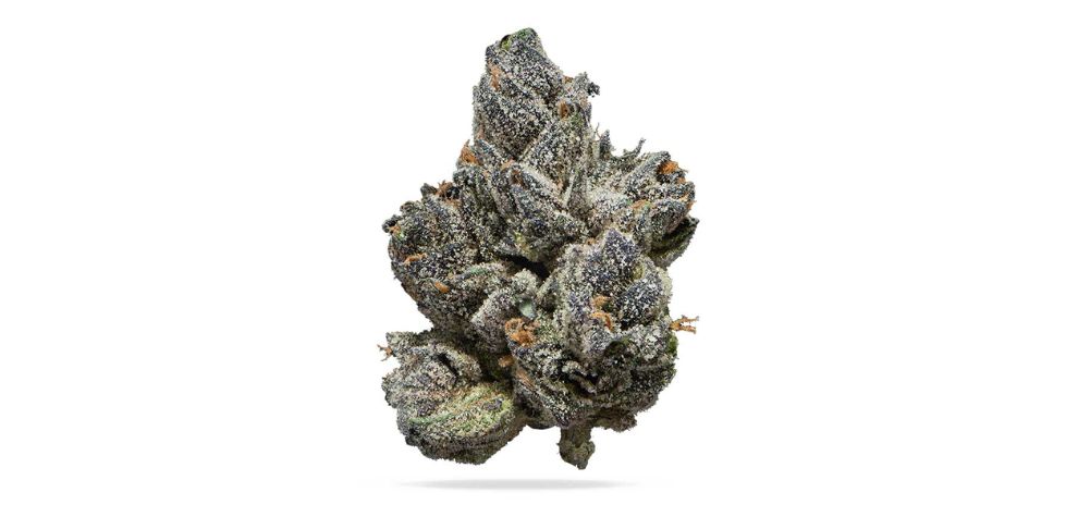 This strain is loved by seasoned stoners with a higher THC tolerance level and those who love those calm evening snacks that help them relax after a busy day. 