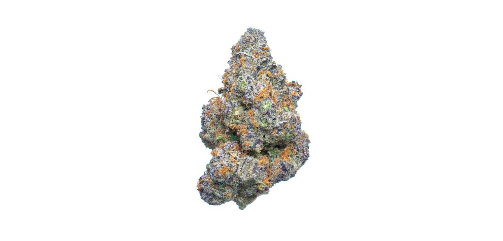 When looking for the best online dispensary Canada to buy Monster Glue strain, one stands: MMJ Express.