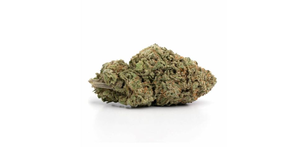 As mentioned above, Leafs by Snoop keeps this strain’s genetic information under wraps. However, enthusiasts have come up with several theories, including that it’s a cross between Blue Dream and Haze or a phenotype of Blue Dream.