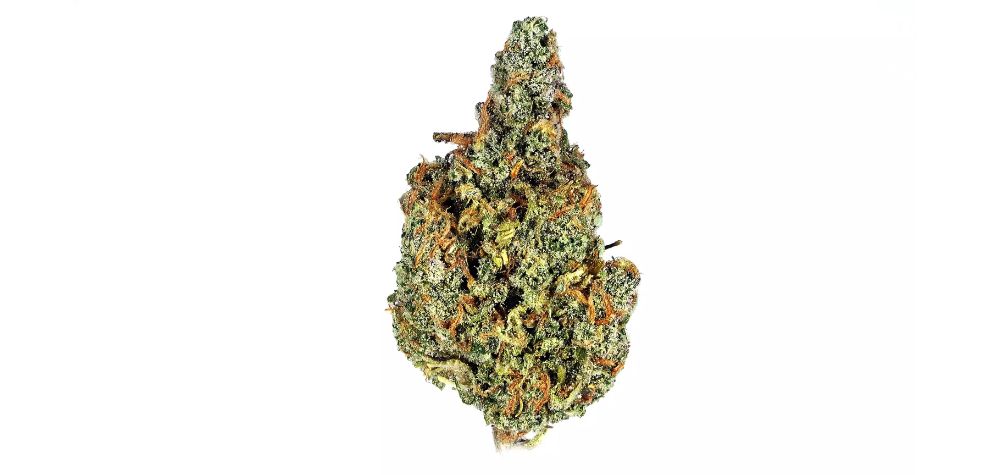 The Blueberry Dream strain is worth considering when you buy weed online in Canada. It has a delicious flavour, gorgeous appearance and perfect daytime effects.