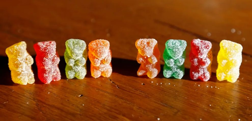 Unlike smoking which THC is absorbed through the lungs, weed gummies are absorbed into the bloodstream through the liver. 