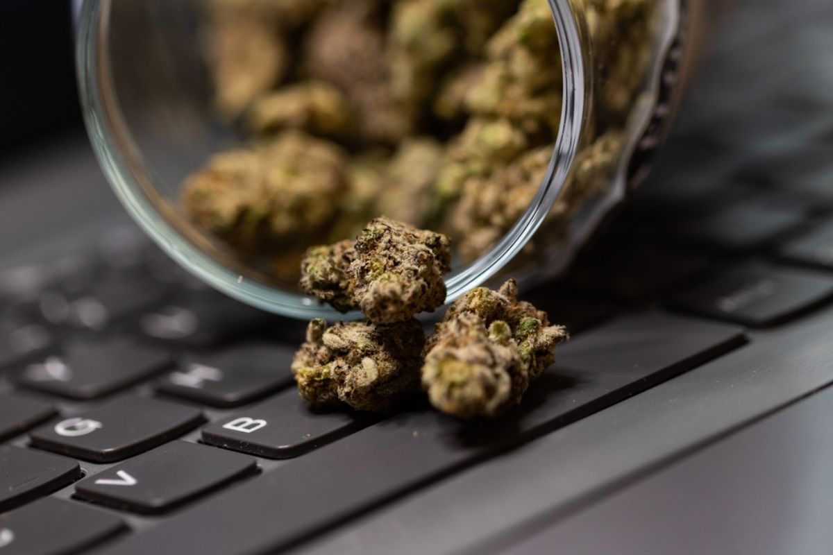 Discover why enthusiasts buy cannabis online in Canada, learn top tips, best strains to buy, how to choose a dispensary & why order online.