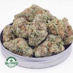 Buy Cannabis Blue Dream AAAA at MMJ Express Online Shop