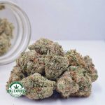 Buy Cannabis Blue Dream AAAA at MMJ Express Online Shop