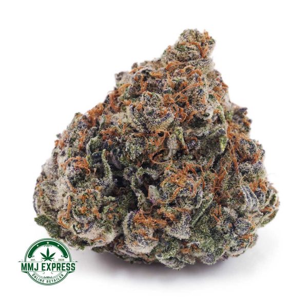 Buy Cannabis Purple Haze AA at MMJ Express Online Shop