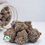 Buy Cannabis Purple Haze AA at MMJ Express Online Shop