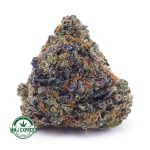 Buy Cannabis Gas Mask Bubba AAA at MMJ Express Online Shop