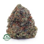 Buy Cannabis Holy Grail AAA at MMJ Express Online Shop