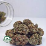 Buy Cannabis Holy Grail AAA at MMJ Express Online Shop