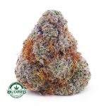 Buy Cannabis Gelato #33 AAA at MMJ Express Online Shop