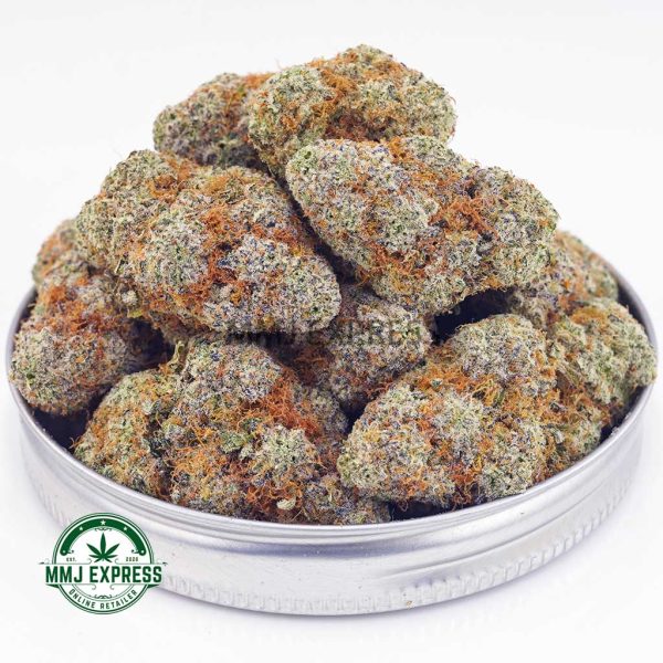 Buy Cannabis Gelato #33 AAA at MMJ Express Online Shop