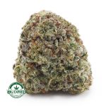 Buy Cannabis White Skunk AA at MMJ Express Online Shop