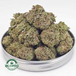 Buy Cannabis White Skunk AA at MMJ Express Online Shop