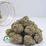 Buy Cannabis White Skunk AA at MMJ Express Online Shop