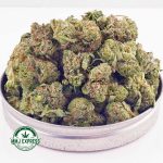 Buy Cannabis Atomic Pink AAAA (Popcorn) at MMJ Express Online Shop