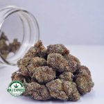 Buy Cannabis Blackberry Kush AAA at MMJ Express Online Shop