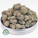 Buy Cannabis Dolato AAAA (Popcorn Nugs) at MMJ Express Online Shop