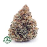 Buy Cannabis GMO Cookies AAA at MMJ Express Online Shop