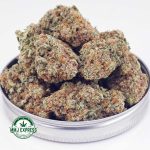 Buy Cannabis GMO Cookies AAA at MMJ Express Online Shop