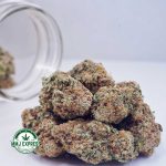 Buy Cannabis GMO Cookies AAA at MMJ Express Online Shop