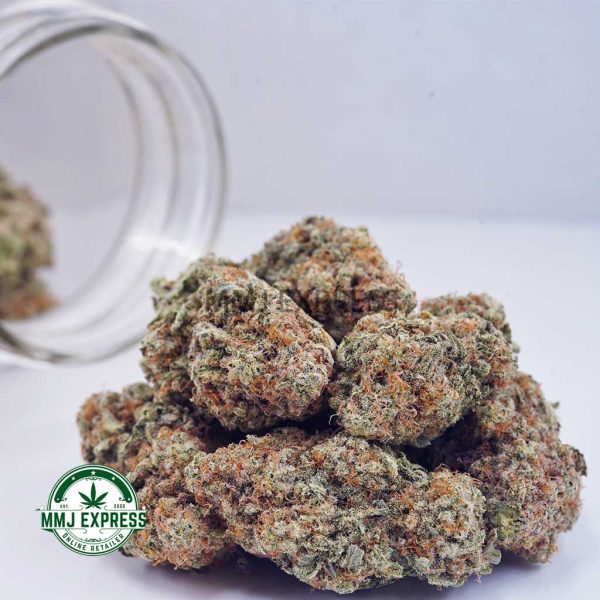Buy Cannabis GMO Cookies AAA at MMJ Express Online Shop