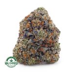 Buy Cannabis Apple Fritter AAAA+, Craft at MMJ Express Online Shop