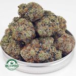 Buy Cannabis Apple Fritter AAAA+, Craft at MMJ Express Online Shop