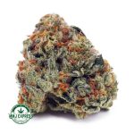Buy Cannabis Forum Cut Cookies AA at MMJ Express Online Shop