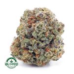 Buy Cannabis Purple Punch AAAA at MMJ Express Online Shop