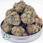 Buy Cannabis Purple Punch AAAA at MMJ Express Online Shop