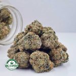 Buy Cannabis Purple Punch AAAA at MMJ Express Online Shop