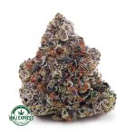 Buy Cannabis Donkey Breath AAAA+, Craft at MMJ Express Online Shop