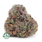 Buy Cannabis Fortune Cookies AA at MMJ Express Online Shop