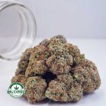 Buy Cannabis Fortune Cookies AA at MMJ Express Online Shop