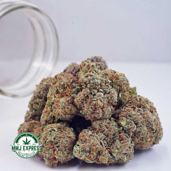 Buy Cannabis Fortune Cookies AA at MMJ Express Online Shop