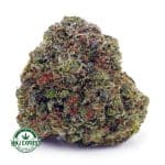 Buy Cannabis Pink Tuna AAAA at MMJ Express Online Shop