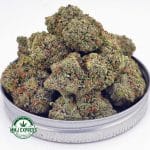Buy Cannabis Pink Tuna AAAA at MMJ Express Online Shop