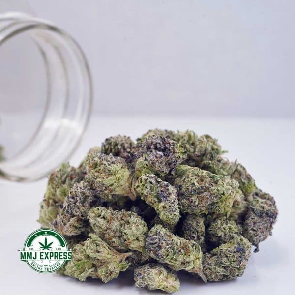 Buy Cannabis Cereal Milk AAAA (Popcorn Nugs) at MMJ Express Online Shop