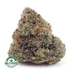 Buy Cannabis Funky Charms AAAA at MMJ Express Online Shop