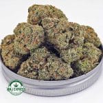 Buy Cannabis Funky Charms AAAA at MMJ Express Online Shop