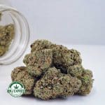 Buy Cannabis Funky Charms AAAA at MMJ Express Online Shop