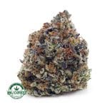 Buy Cannabis Pink Rockstar AAAA at MMJ Express Online Shop