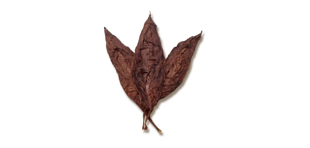 Buy weed online in Canada and blend your favourite strains with these tobacco leaves to enjoy a prolonged, flavourful experience. 