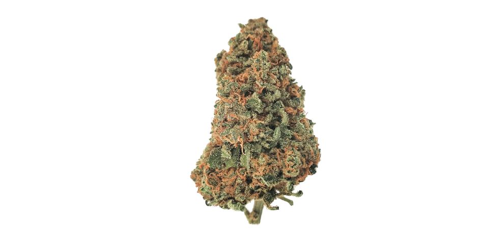 If you're ready to start buying weed online in Canada, MMJExpress online dispensary Canada is the perfect place to start. 