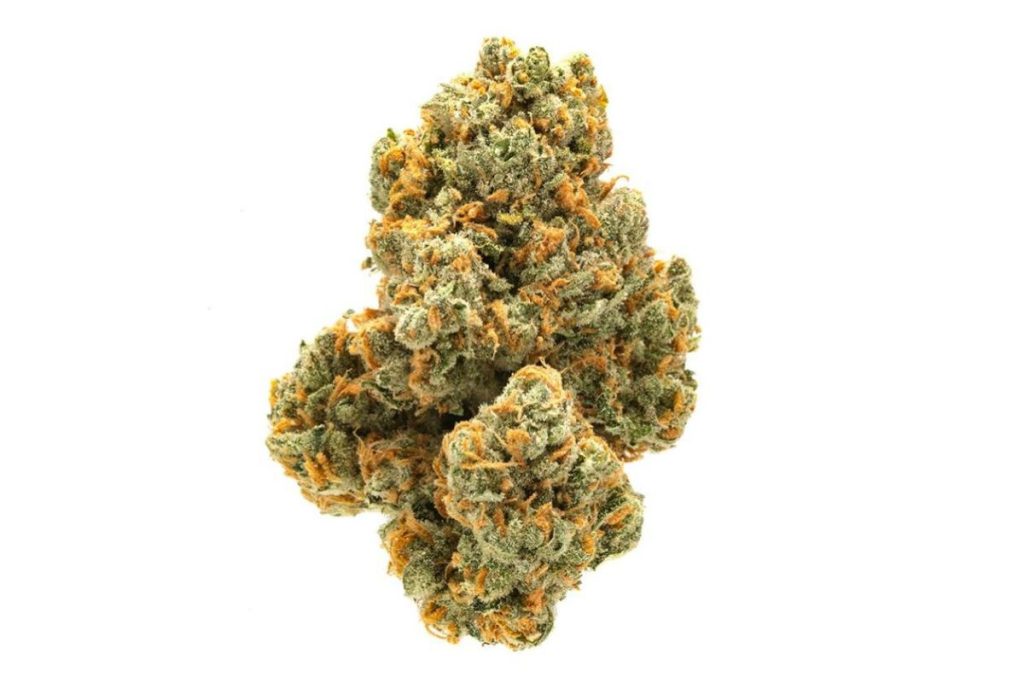 Jean Guy strain is known for its powerful sativa effects. Learn more about its origins, effects, THC levels and terpenes to determine if it’s worth trying