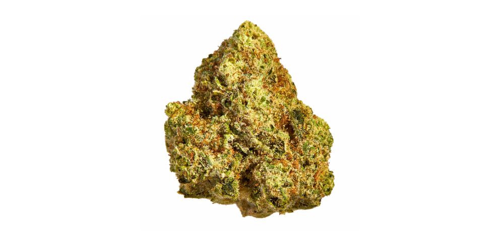 As mentioned above, the origins of the Jean Guy weed strain are shrouded in mystery. However, it is thought to be a phenotype of the iconic White Widow strain.