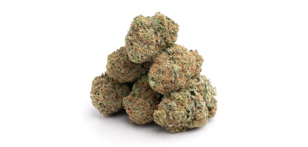 Jean Guy weed buds are a sight to behold. They have frosted dark green leaves that hide below the pastel buds covered by a dense blanket of golden crystalline trichomes. The heavy cover of trichomes warns of this bud's high potency.